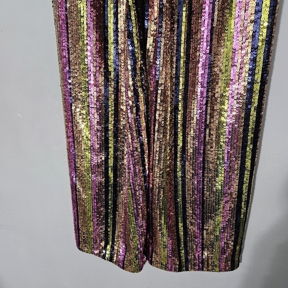 Rasario Multicolor Striped Sequin Straight Leg Pants - Picture 10 of 12